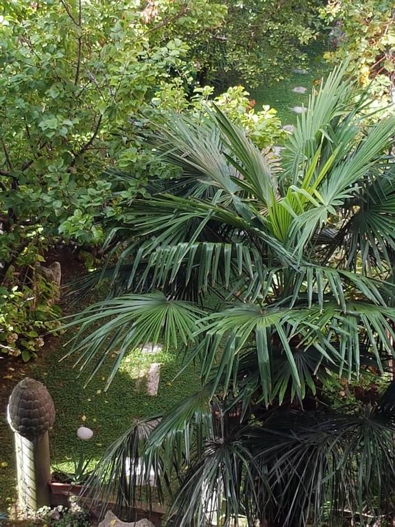 Appartamento Garden Ca' Rezzonico البندقية المظهر الخارجي الصورة
