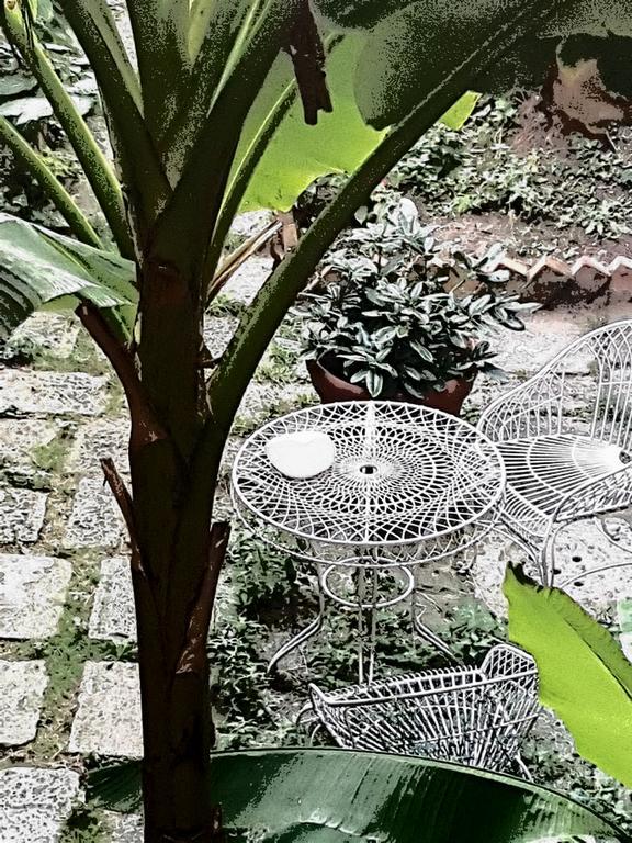 Appartamento Garden Ca' Rezzonico البندقية المظهر الخارجي الصورة