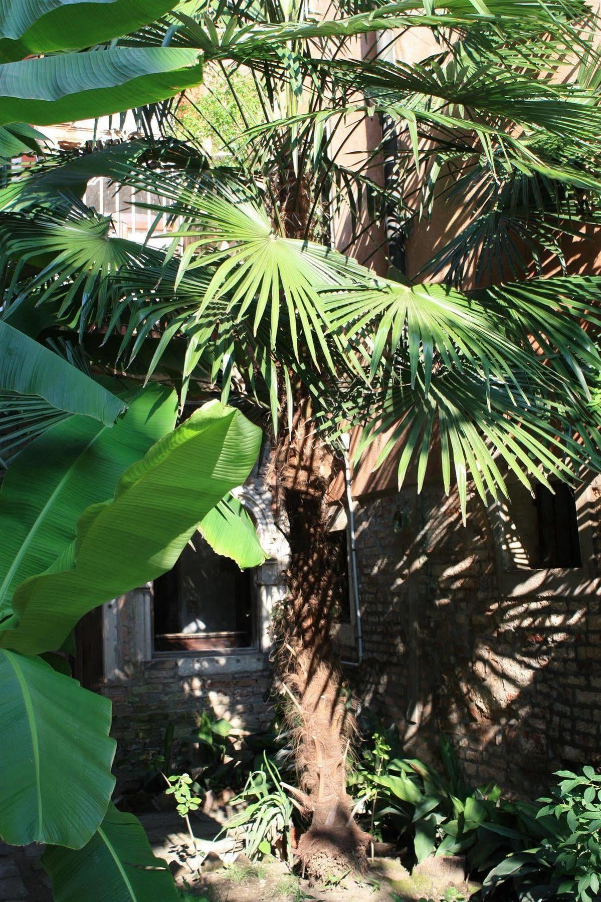 Appartamento Garden Ca' Rezzonico البندقية المظهر الخارجي الصورة